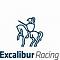 Excalibur Racing's Avatar